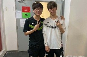 TheShy新星精彩发挥表现惊艳，法国队未来可期！的简单介绍